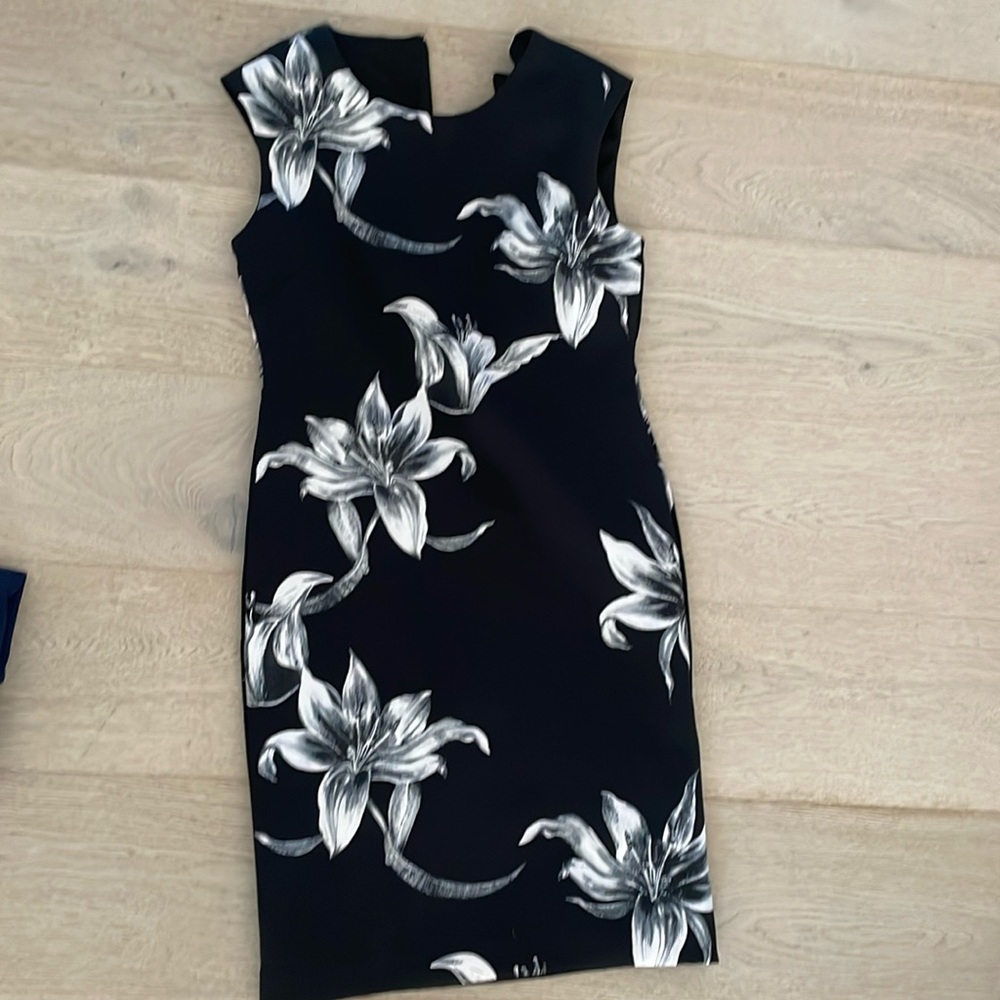 Tahari size 6 floral double lined dress